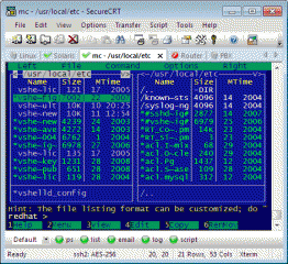 telnet terminal emulator